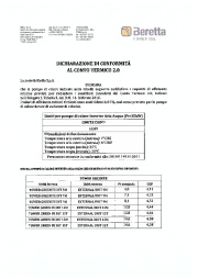 cataloghi/BER/Dichiarazione Conto Termico Tower Green FE Beretta 02-19